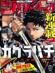 新新漫画官网奇幻漫画《幻影法师》