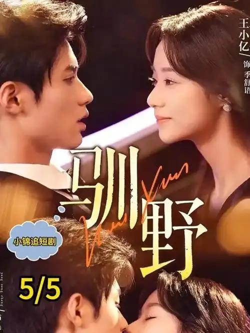 范思影视档案校对记录配图,夜间海报墙局部